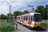 MVG (Mainzer Verkehrsgesellschaft) 279 in Mainz, (H) Lindenmühle